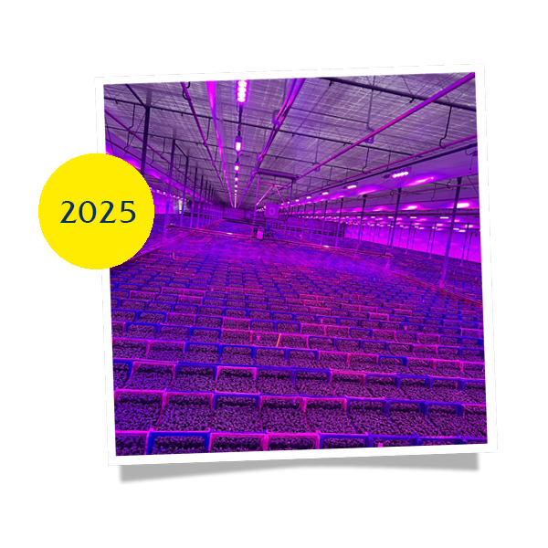 foto historie 2025 dbw v2