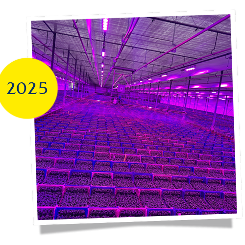 foto historie 2025 dbw