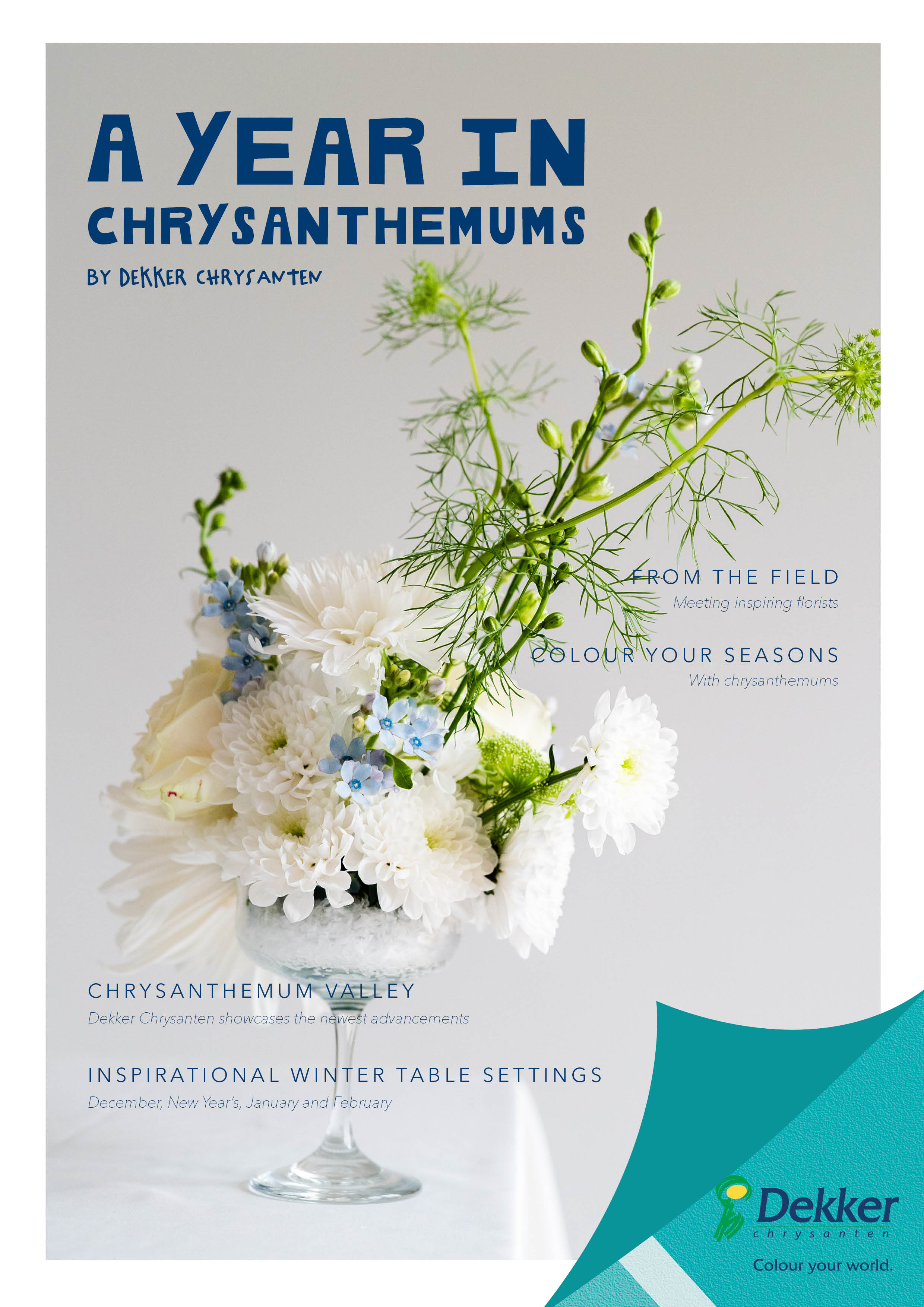 A year in chrysanthemums by Dekker Chrysanten