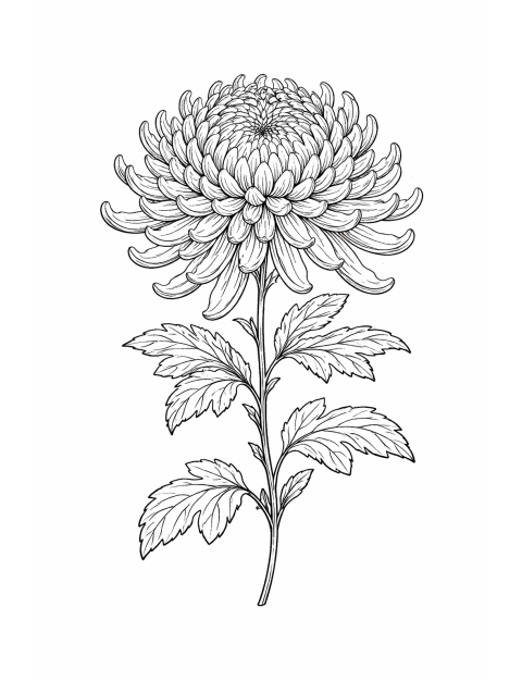 ChatGPT Image Jan 9 2026 11 09 56 AM