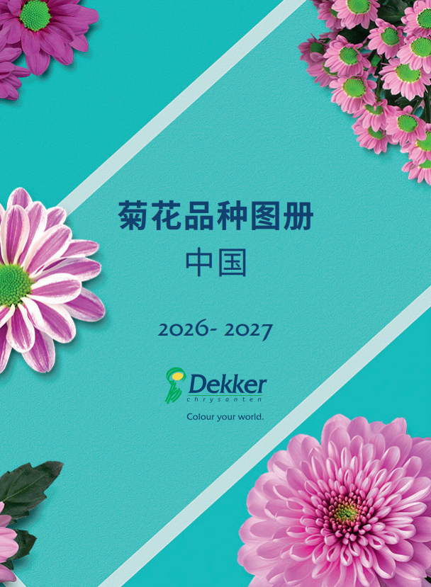 Schermafbeelding 2026 01 29 160430 v3