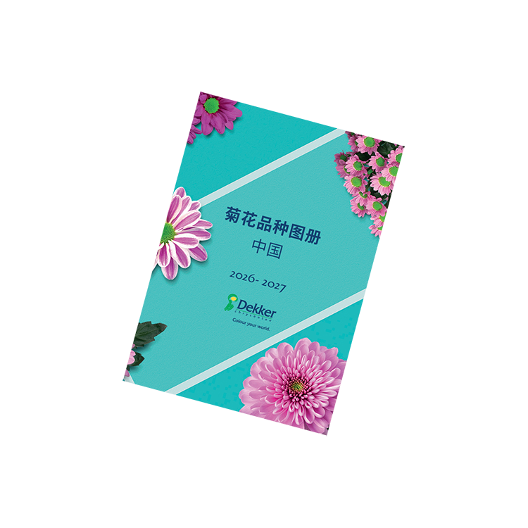 catalogue asia 2026